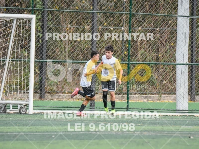 Detalhes da foto #4285622