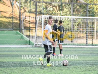 Detalhes da foto #2028793