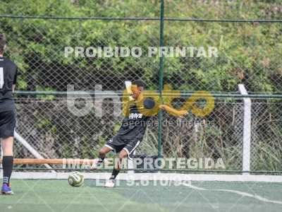 Detalhes da foto #4641667