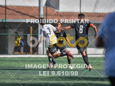 Detalhes da foto #3364002