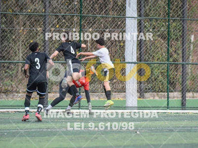 Detalhes da foto #1872265
