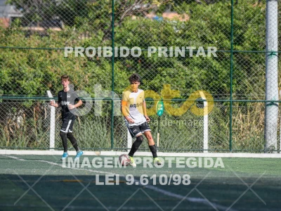 Detalhes da foto #8231496