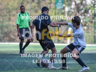 Detalhes da foto #4095248