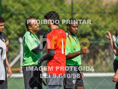 Detalhes da foto #3319440