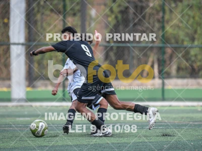 Detalhes da foto #6984482