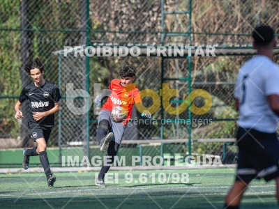 Detalhes da foto #8240296