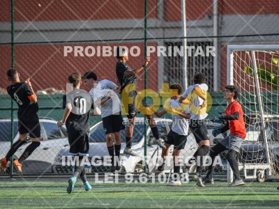 Detalhes da foto #8197669