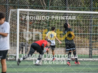 Detalhes da foto #3217111