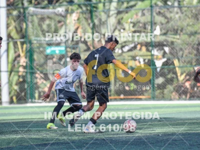 Detalhes da foto #8634115