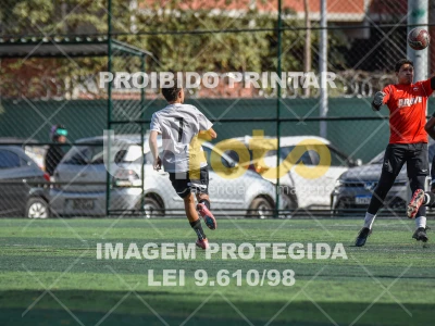 Detalhes da foto #8573631