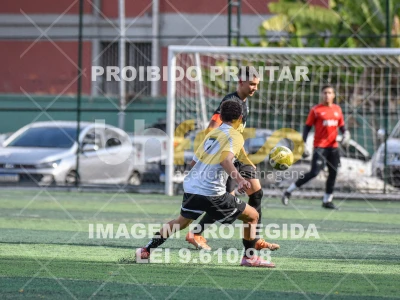 Detalhes da foto #8735226