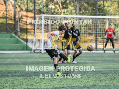 Detalhes da foto #9733230