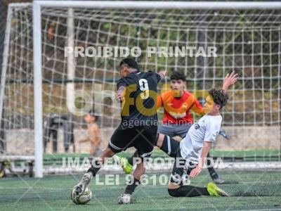 Detalhes da foto #8781312