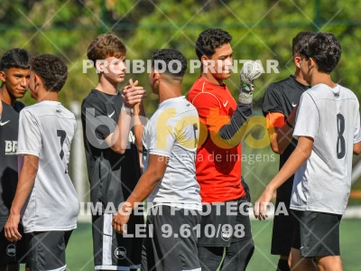 Detalhes da foto #2230671