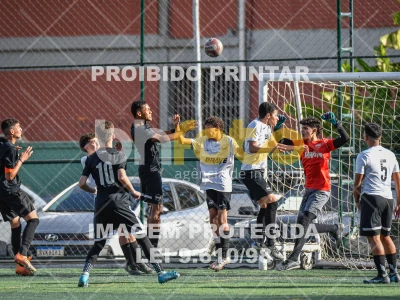 Detalhes da foto #8425466