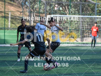 Detalhes da foto #8254281