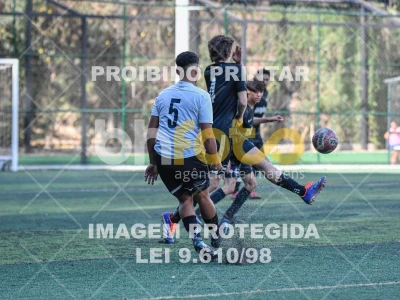 Detalhes da foto #7334255