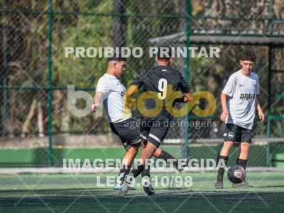 Detalhes da foto #8624303
