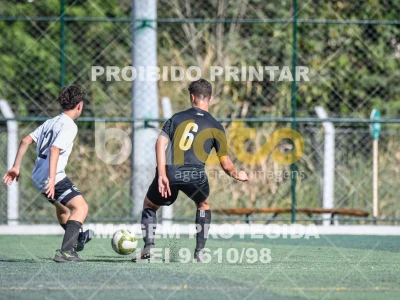 Detalhes da foto #3517369