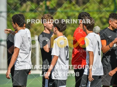 Detalhes da foto #2504821