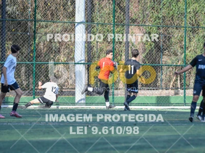 Detalhes da foto #2489638