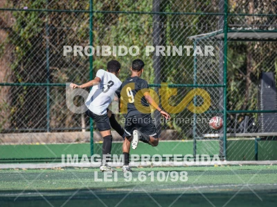 Detalhes da foto #8310818