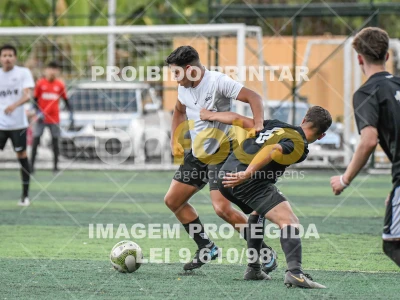 Detalhes da foto #2942547