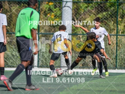 Detalhes da foto #3539372