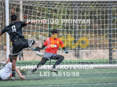 Detalhes da foto #1263442