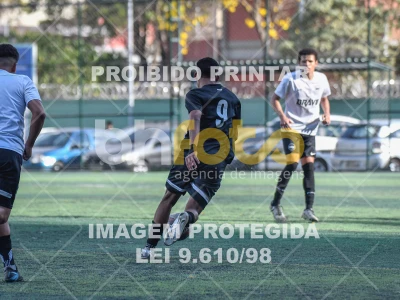 Detalhes da foto #3236593