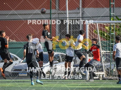 Detalhes da foto #4225858