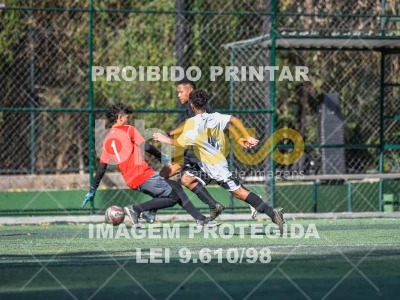 Detalhes da foto #9518021