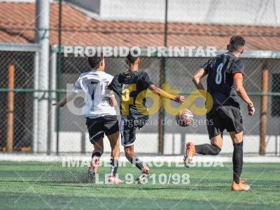 Detalhes da foto #3314581