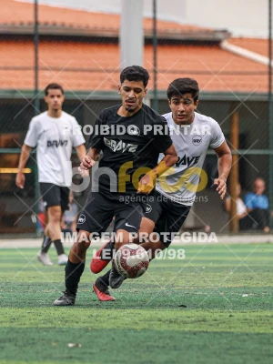 Detalhes da foto #6592075