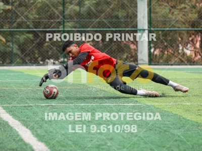 Detalhes da foto #2517724