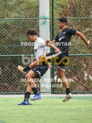 Detalhes da foto #4342283
