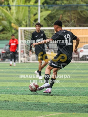 Detalhes da foto #8748853