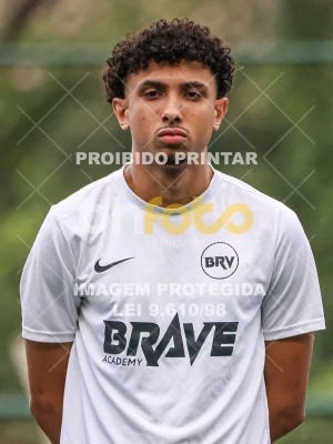 Detalhes da foto #3351153