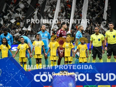 Detalhes da foto #7410899
