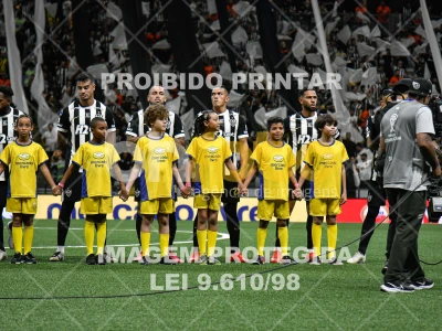 Detalhes da foto #3545489