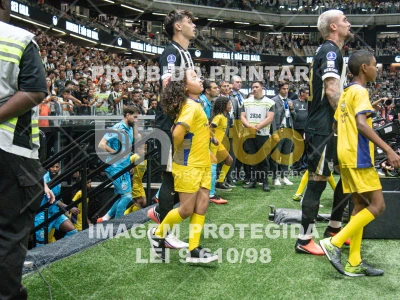 Detalhes da foto #3035509