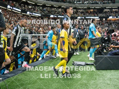 Detalhes da foto #5458718