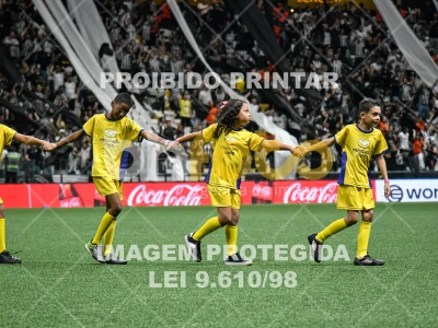 Detalhes da foto #1214472