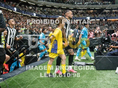 Detalhes da foto #4250999