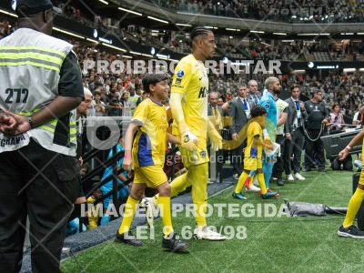 Detalhes da foto #9694134