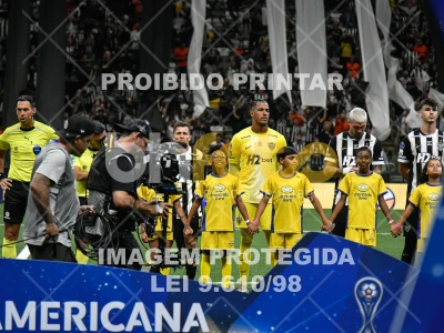 Detalhes da foto #4513261