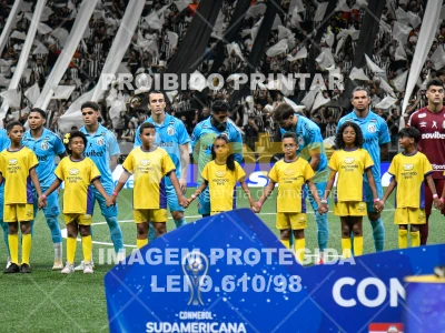 Detalhes da foto #7075430