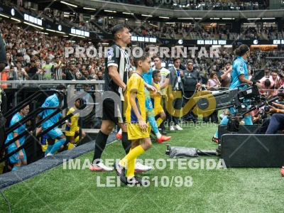 Detalhes da foto #7668964