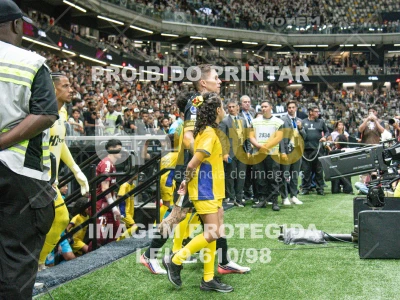 Detalhes da foto #8567132