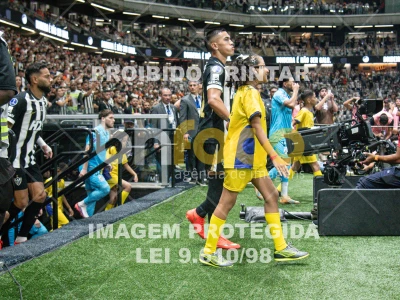 Detalhes da foto #8292488